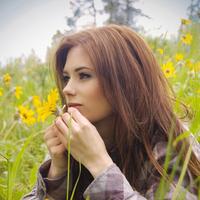 Отзыв от Аврора - DTV виза